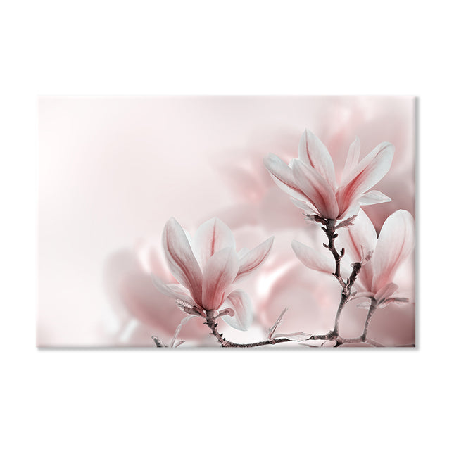 Tolle Leinwand bedruckt mit beeindruckender Makroaufnahme eines blühenden Magnolienbaums. Diese Dekoration bringt die zarte Blütenpracht in Ihr Zuhause.