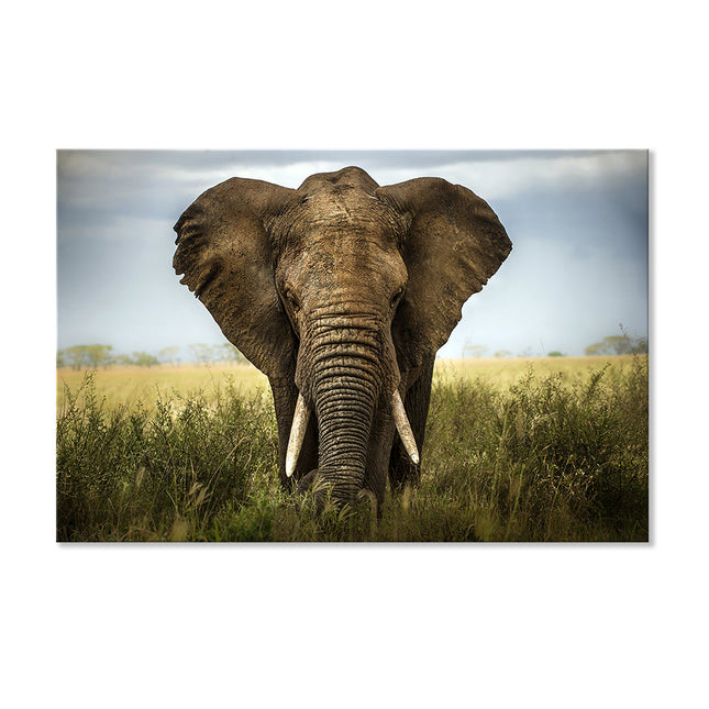 Leinwandbild mit imposanten Elefanten in Afrika in 3 Größen erhältlich bei Dekoli.de