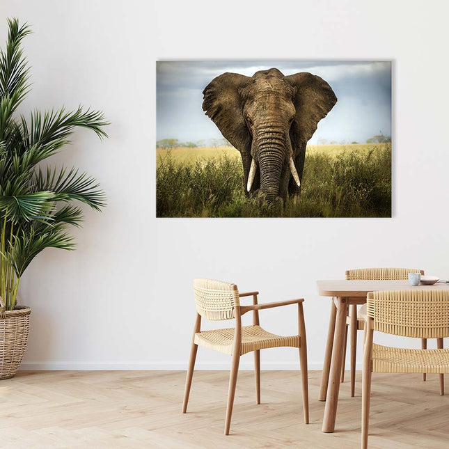 Leinwand Dekobild in 120x80cm für Esszimmer und Küchen  zeigt einen Afrikanischen Elefanten in der Savanne.
