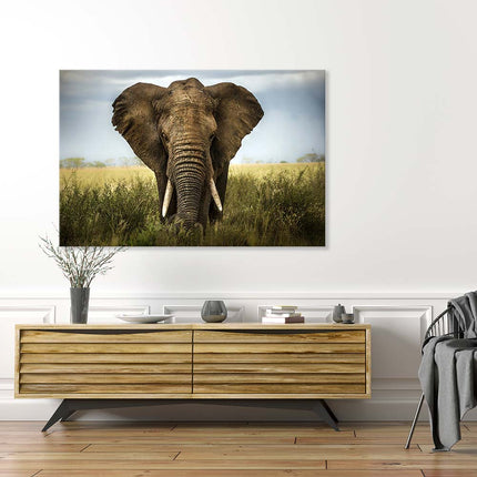 Bei Dekoli.de erhalten Sie das Leinwandbild bedruckt mit dem Motiv "Elefant -Afrika" in 3 Größen zur Auswahl. Es passt somit in jeden Raum, hier im Wohnzimmer über einer Kommode.