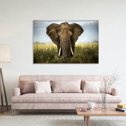Dekoration Leinwanddruck auf Holzrahmen mit Elefanten Bild von vorne in Afrika über einem rosanem Sofa. 