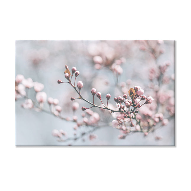 Traumhaftes Leinwandbild mit zartem Kirschblütenzweig. Auf 2cm dickem Holzrahmen fertig gespannt für Ihr Zuhause.