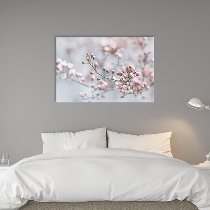 Tauchen Sie ein in die zarte Schönheit der Natur mit unserer hochwertigen Leinwand "Kirschblüte" in voller Pracht erstrahlt. Diese einzigartige Naturfotografie schafft eine stimmungsvolle Atmosphäre in Ihrem Raum. Hier auf einer grauen Wand im Schlafzimmer.