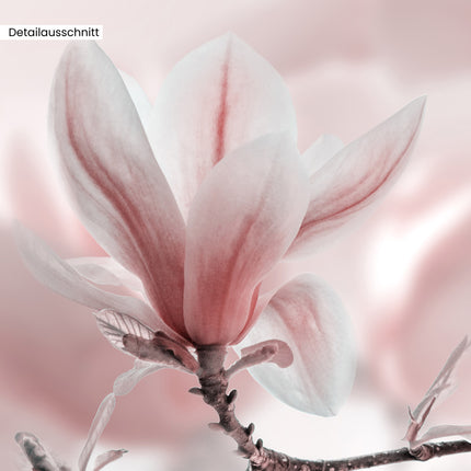 Leinwandbild "Magnolienbaum im<br/>Frühjahr"
