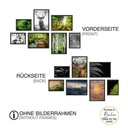 Poster-Set - 7 Poster - beidseitig<br/>"Wald"