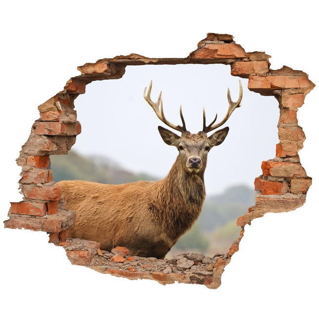 Wandaufkleber Wandtattoo in Form eines Wanddurchbruchs  von einem Hirsch als Hauptbild