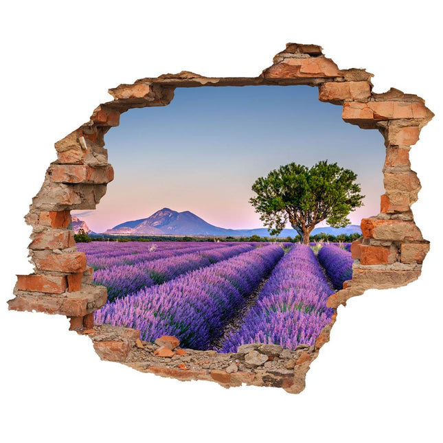 Wandaufkleber Wandtattoo in Form eines Wanddurchbruchs  von einem Lavendelfeld als Hauptbild
