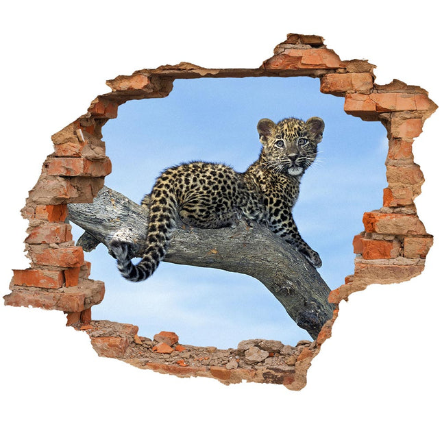 Wandaufkleber Wandtattoo in Form eines Wanddurchbruchs  von einem Leopardenbaby als Hauptbild