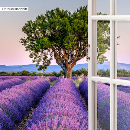 Leinwandbild Fensterblick "Lavendelfeld"