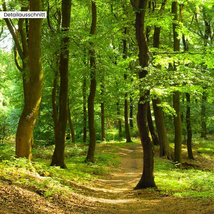 Leinwandbild Fensterblick "Wald"